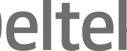 Deltek-Logo_gray-1.png